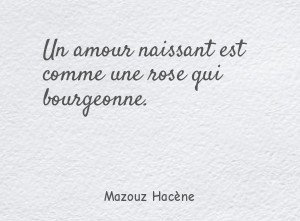 Un amour naissant est comme une rose qui bourgeonne.