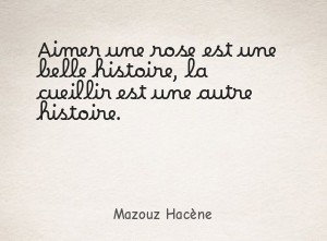 Aimer une rose est une belle histoire, la cueillir est