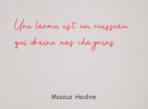 Une larme est un ruisseau qui draine nos chagrins