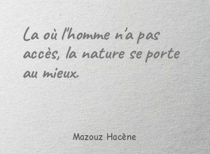 La où l'homme n'a pas accès, la nature se porte