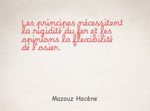 Les principes nécessitent la rigidité du fer et les opinions