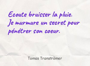 Ecoute bruisser la pluie. Je murmure un secret pour pénétrer