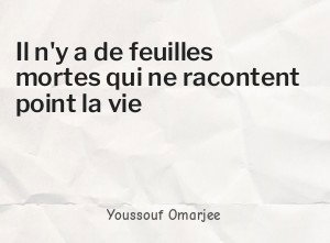 Il n'y a de feuilles mortes qui ne racontent point