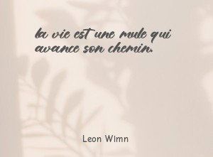 la vie est une mule qui avance son chemin.