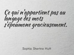 Ce qui n'appartient pas au langage des mots s'époumone gracieusement.