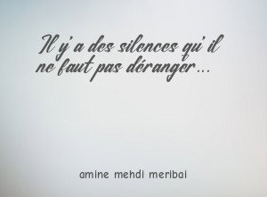 Il y'a des silences qu'il ne faut pas déranger...