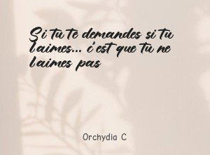 Si tu te demandes si tu l'aimes... c'est que tu