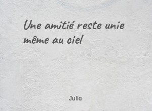 Une amitié reste unie même au ciel